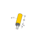 BI2-K11-Y1