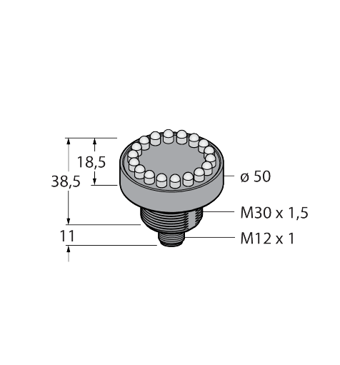 K50LDGRYPQ